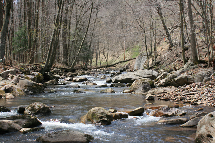 Field photo showing stream conditions at site SAVA-204-S-2010-1