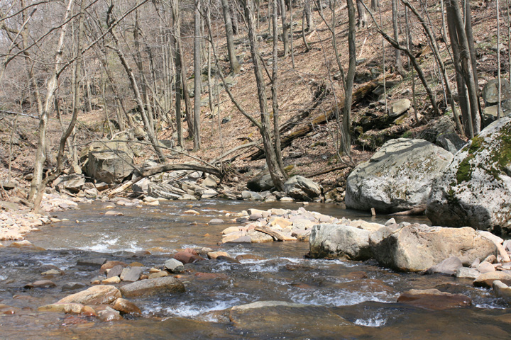 Field photo showing stream conditions at site SAVA-204-S-2010-2