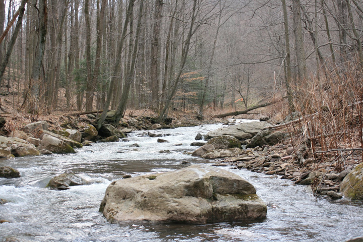 Field photo showing stream conditions at site SAVA-204-S-2011-1