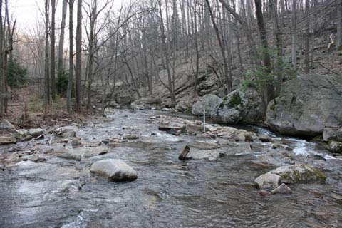 Field photo showing stream conditions at site SAVA-204-S-2012_Midpoint_P_Downstream