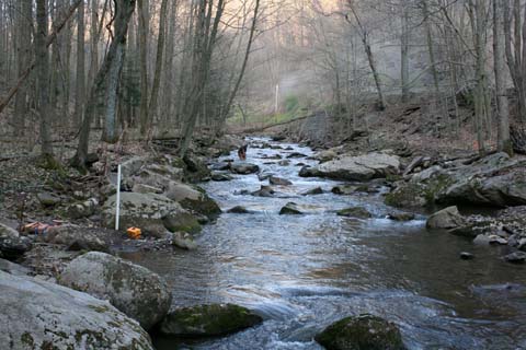 Field photo showing stream conditions at site SAVA-204-S-2012_Midpoint_P_Upstream