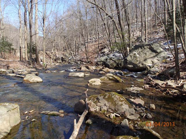 Field photo showing stream conditions at site SAVA-204-S-2013-MidpointPdownstream
