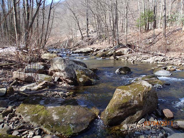 Field photo showing stream conditions at site SAVA-204-S-2013-MidpointPupstream