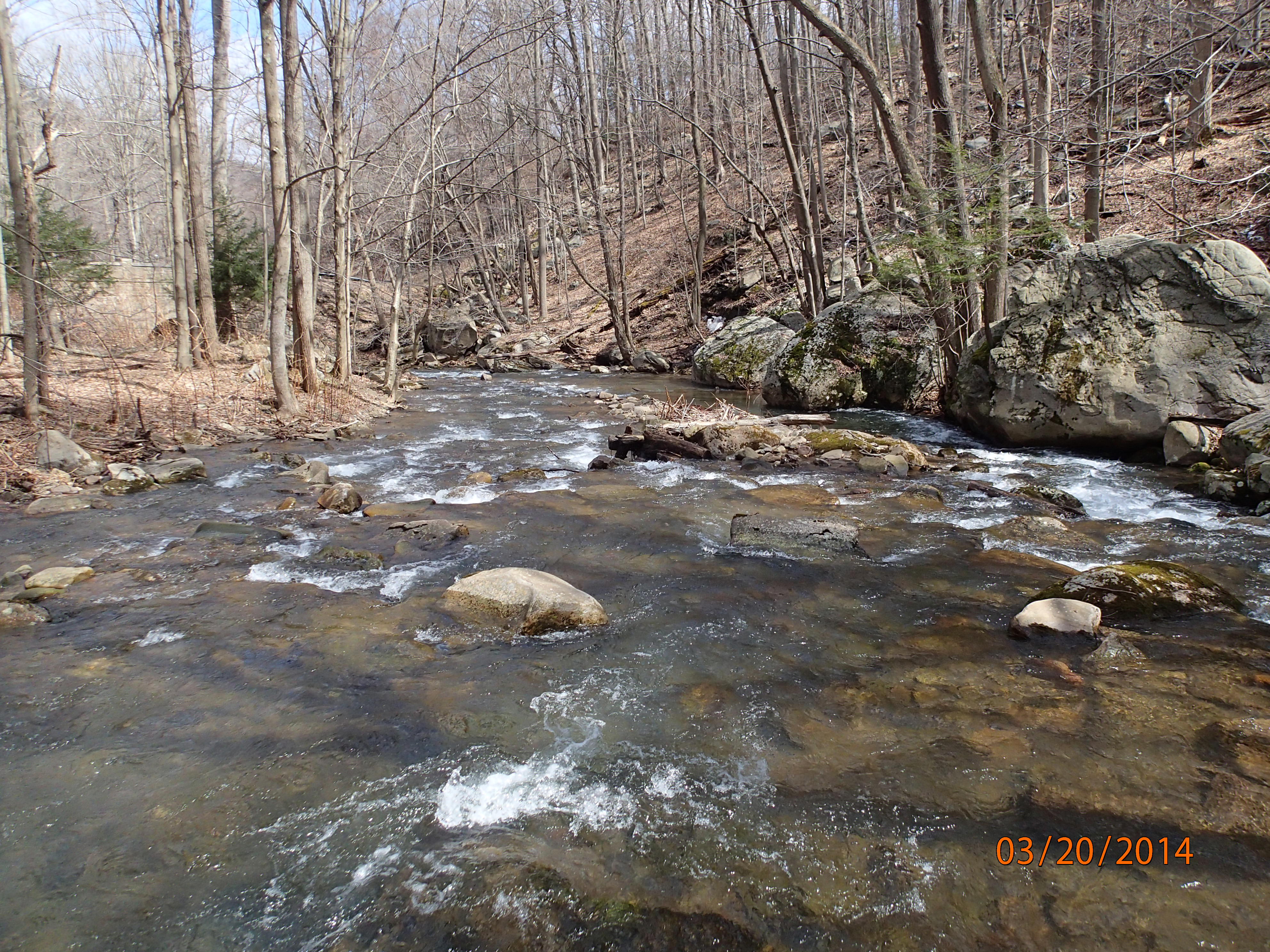 Field photo showing stream conditions at site SAVA-204-S-2014-MidpointDownstream