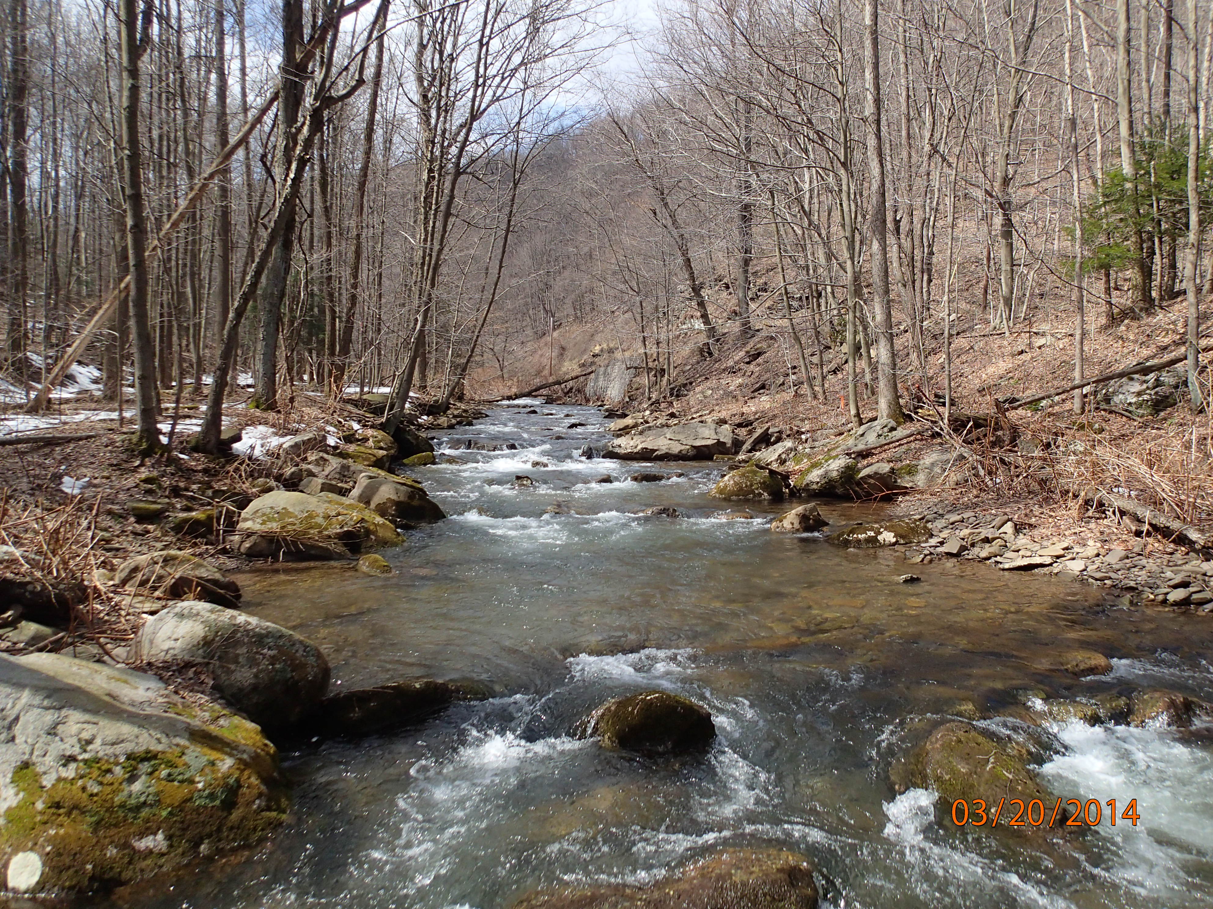 Field photo showing stream conditions at site SAVA-204-S-2014-MidpointUpstream