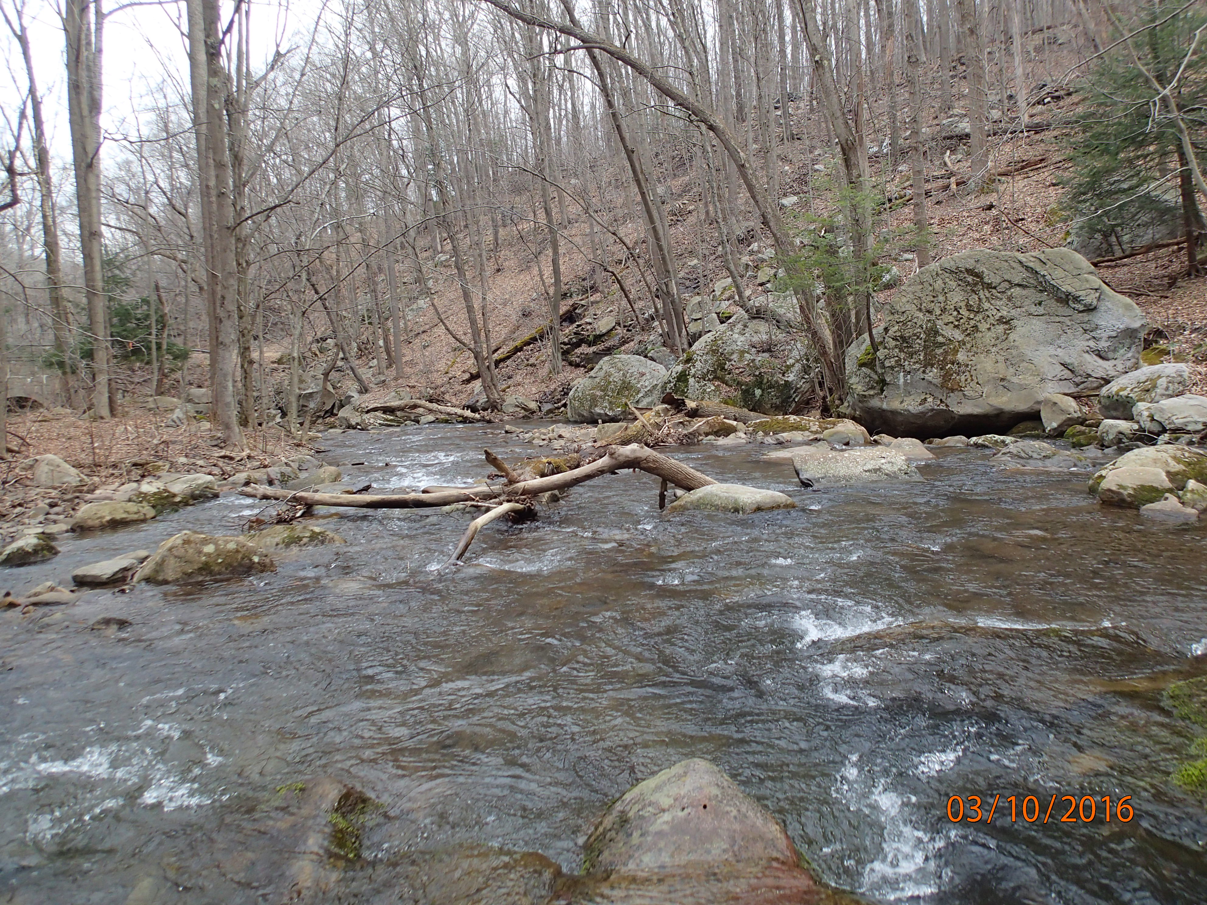 Field photo showing stream conditions at site SAVA-204-S-2016-MidpointPDownstream