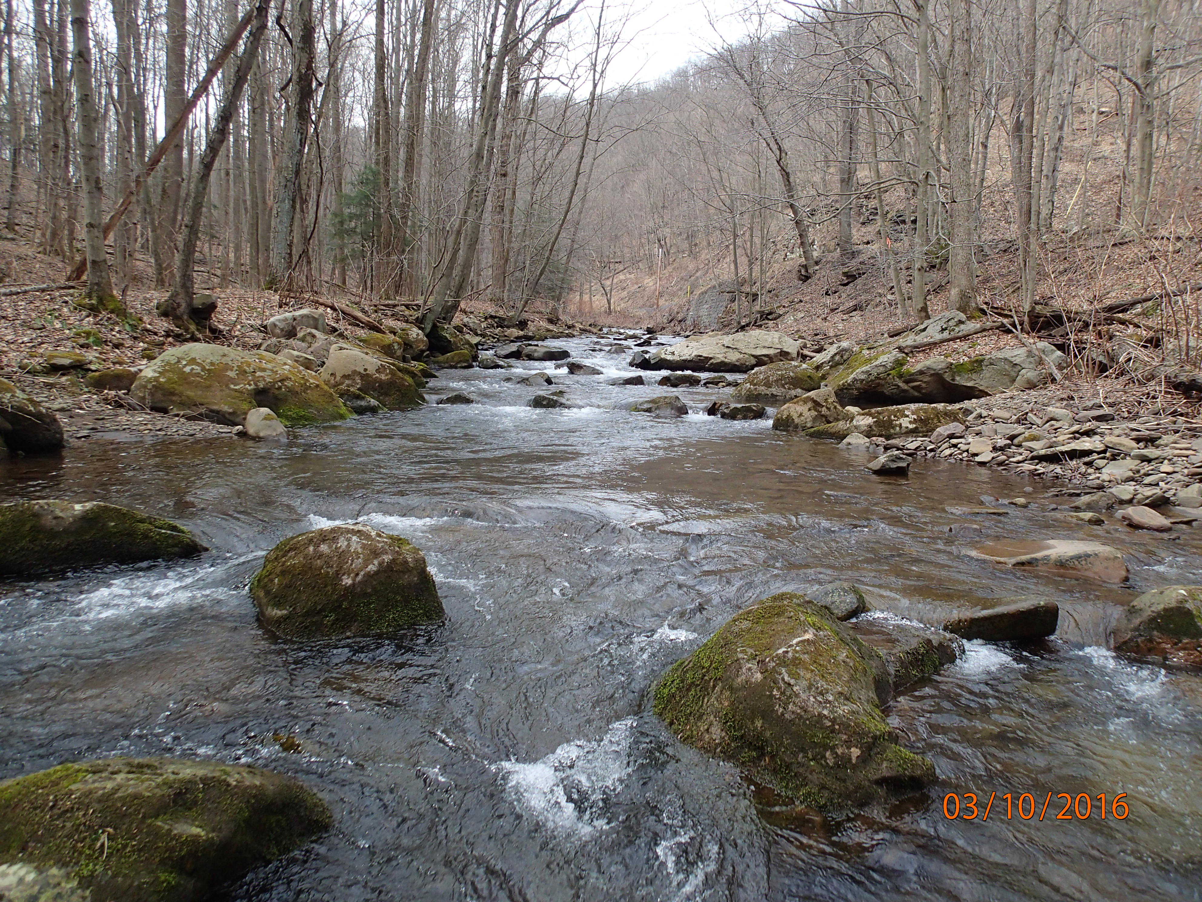 Field photo showing stream conditions at site SAVA-204-S-2016-MidpointPUpstream