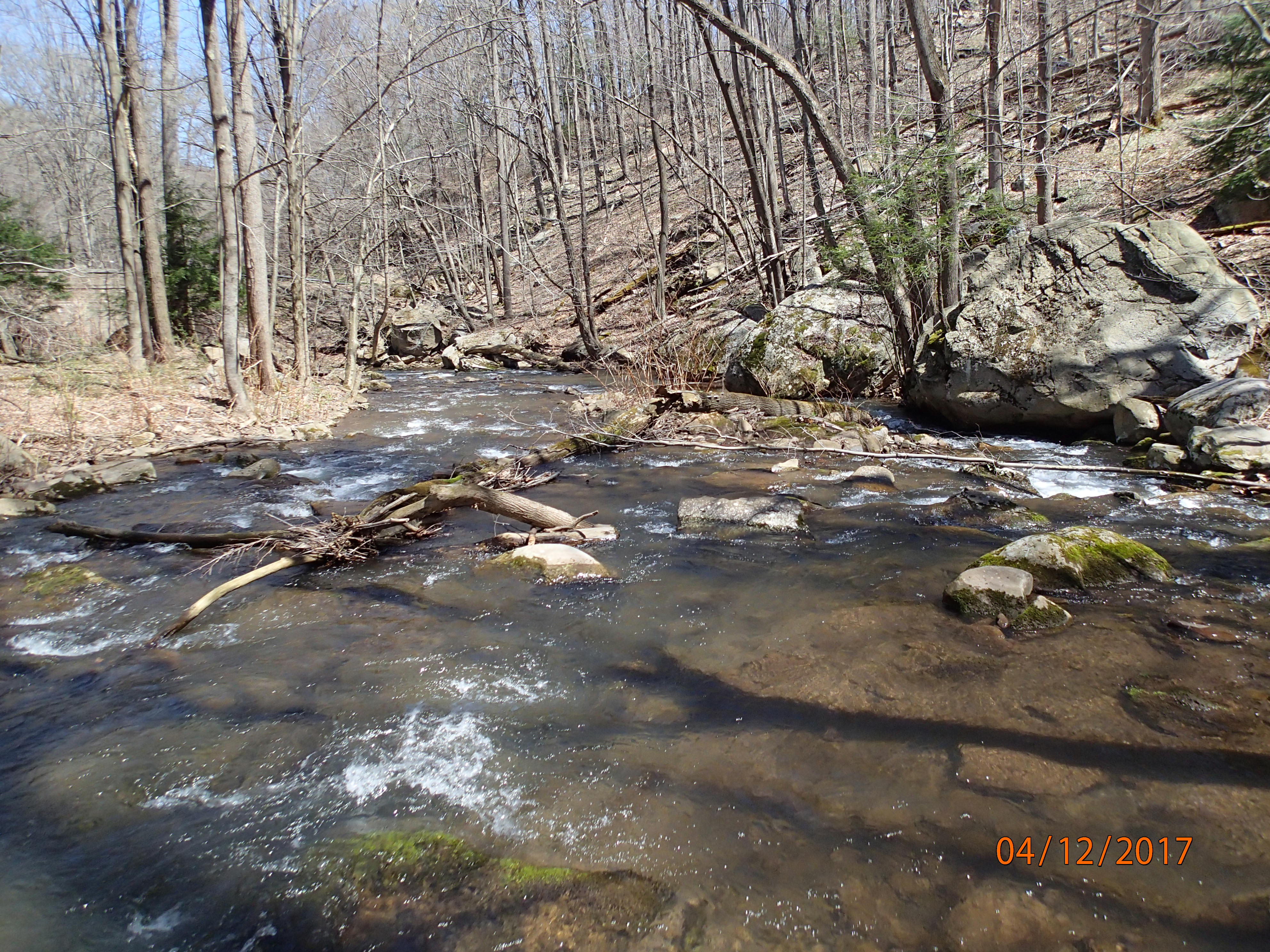 Field photo showing stream conditions at site SAVA-204-S-2017-MidpointPDownstream