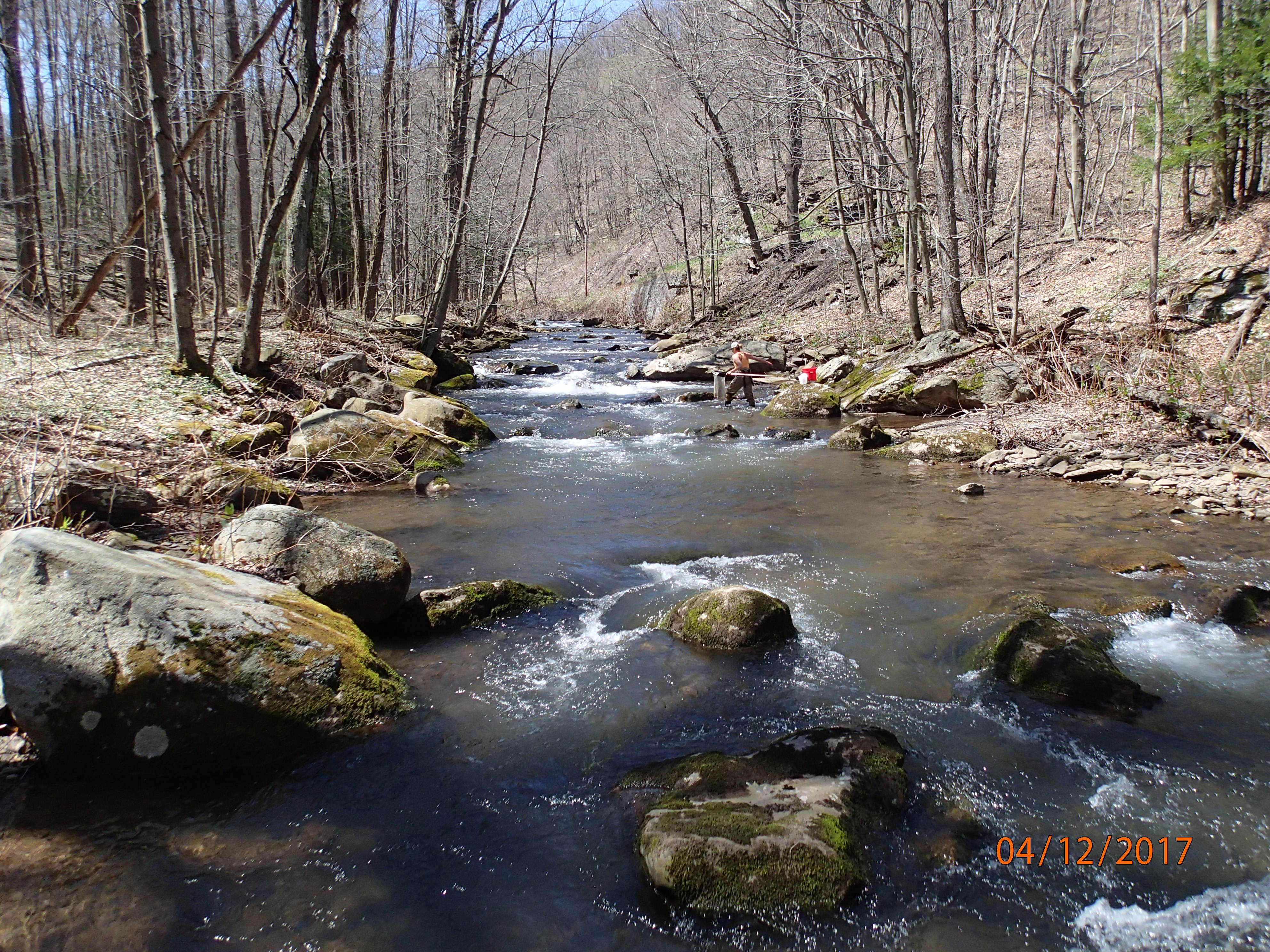 Field photo showing stream conditions at site SAVA-204-S-2017-MidpointPUpstream