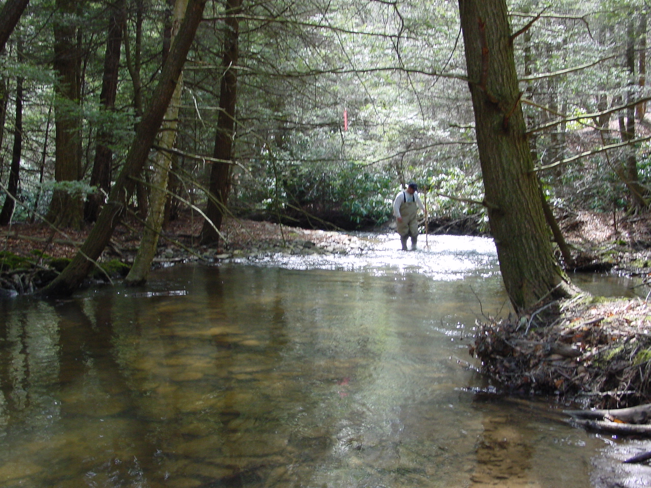 Field photo showing stream conditions at site SAVA-206-R-2002-1