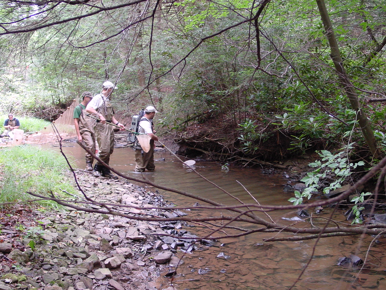 Field photo showing stream conditions at site SAVA-206-R-2002-4