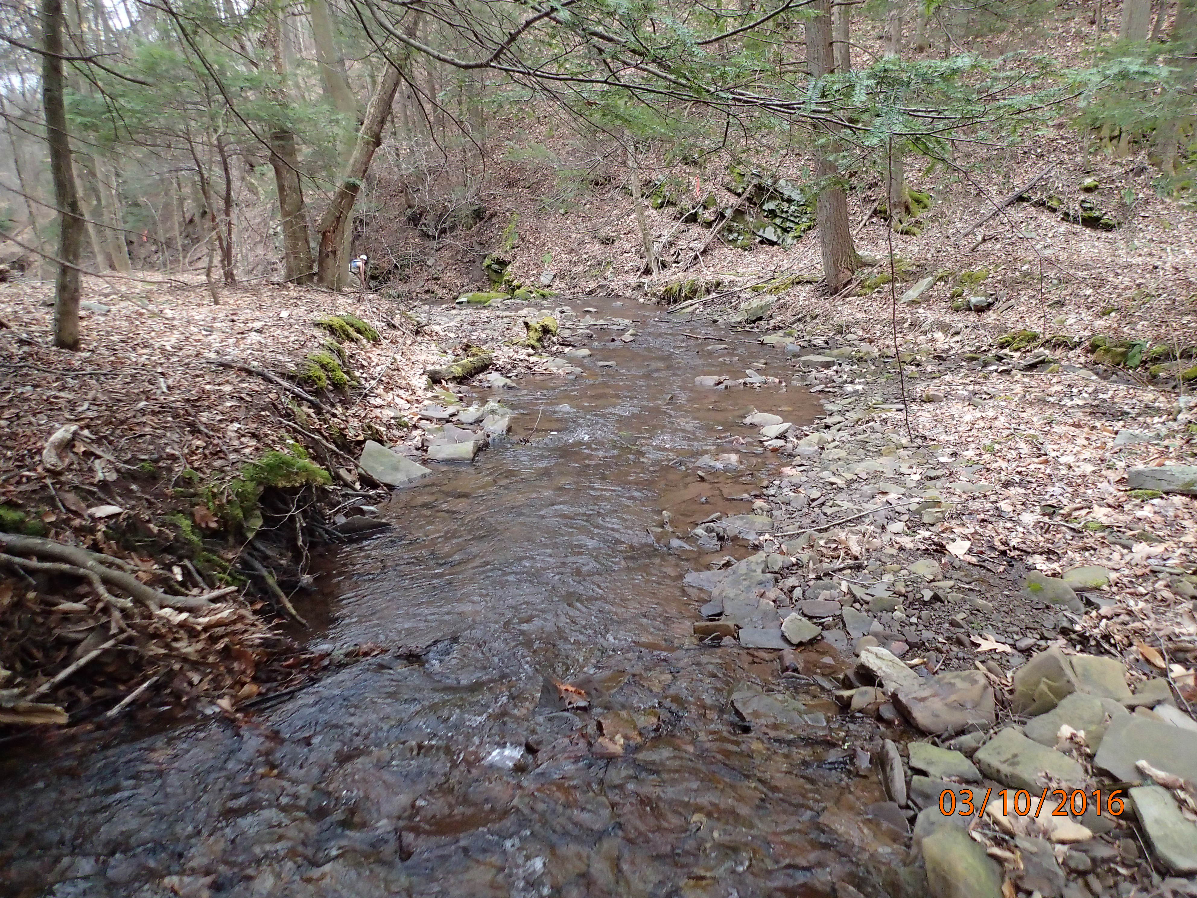 Field photo showing stream conditions at site SAVA-214-R-2016-MidpointDownstream