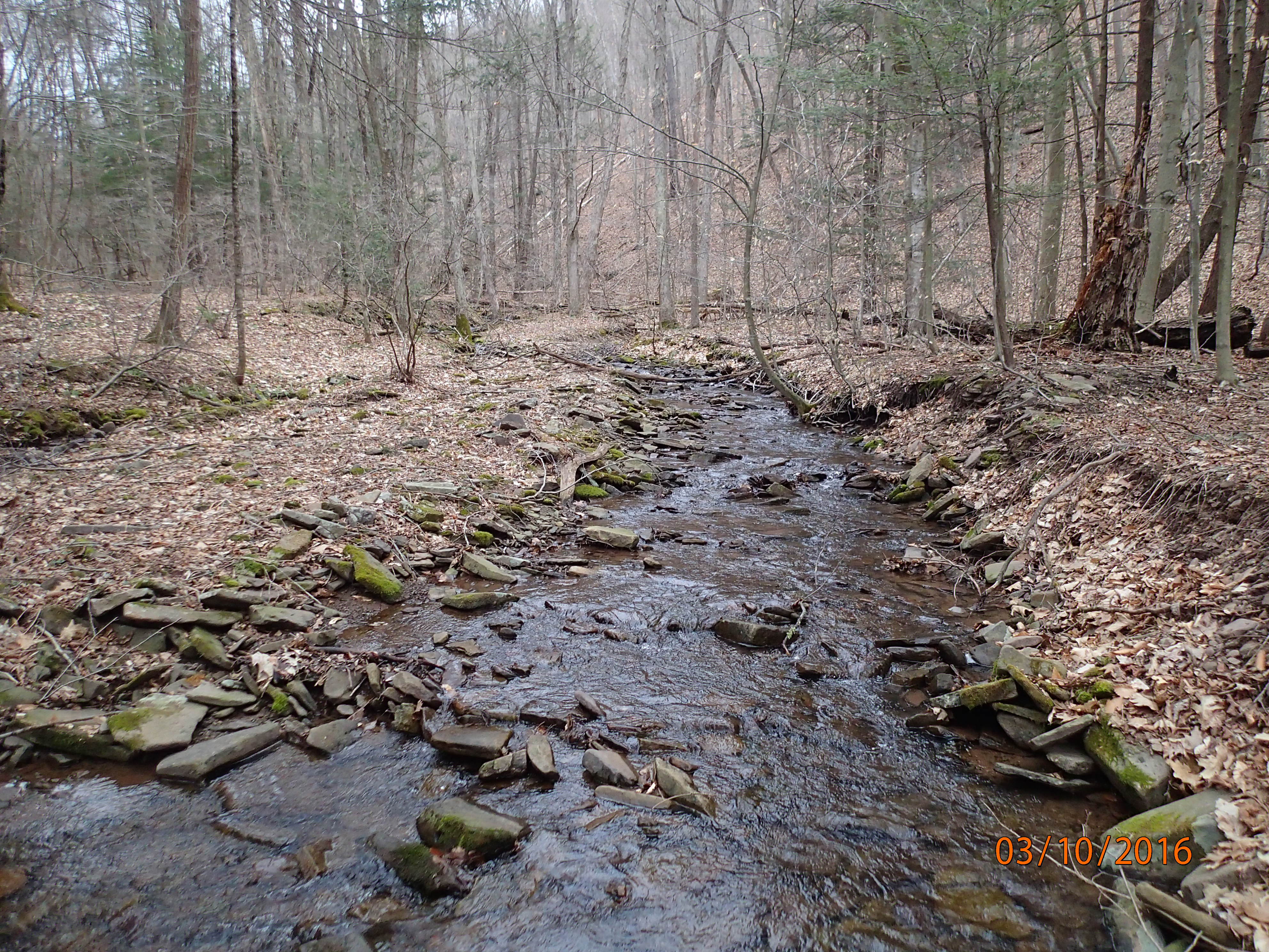 Field photo showing stream conditions at site SAVA-214-R-2016-MidpointUpstream
