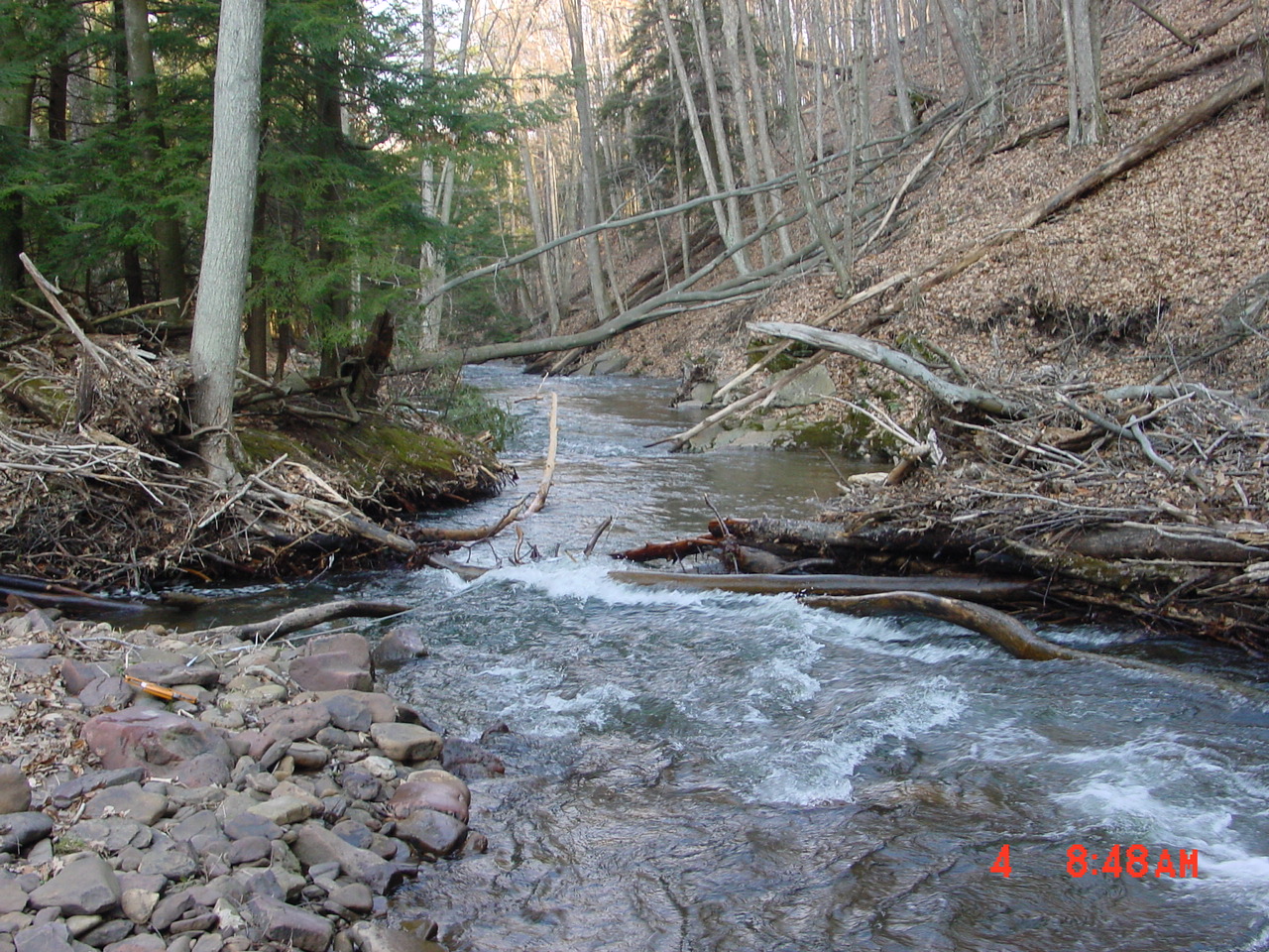 Field photo showing stream conditions at site SAVA-225-S-2001-2