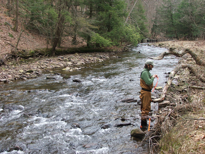 Field photo showing stream conditions at site SAVA-225-S-2008-1