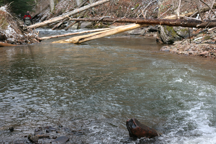 Field photo showing stream conditions at site SAVA-225-S-2009-1