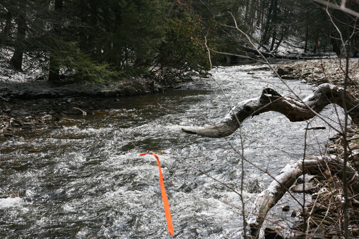 Field photo showing stream conditions at site SAVA-225-S-2009-2