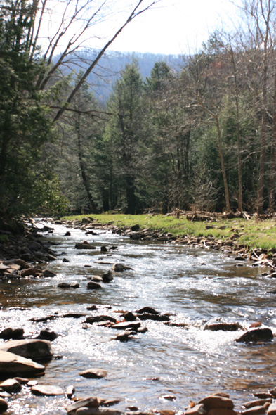 Field photo showing stream conditions at site SAVA-225-S-2010-1