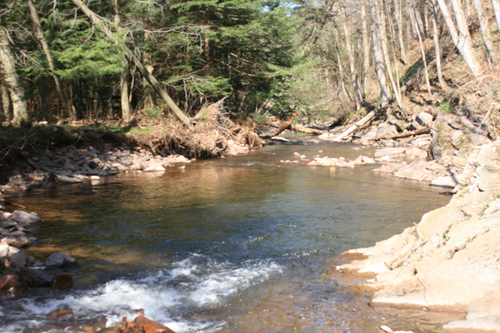 Field photo showing stream conditions at site SAVA-225-S-2010-2