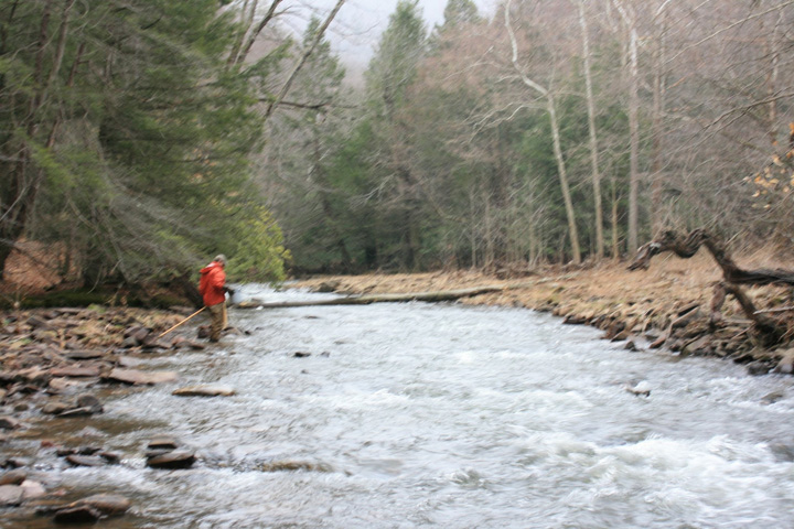 Field photo showing stream conditions at site SAVA-225-S-2011-1
