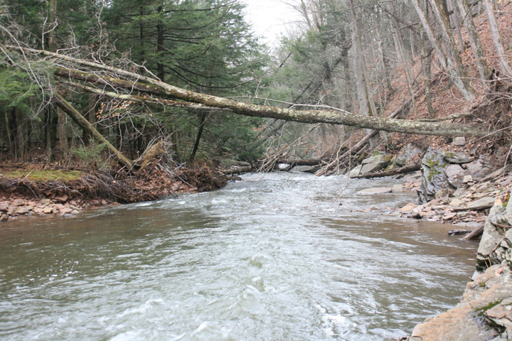 Field photo showing stream conditions at site SAVA-225-S-2011-2