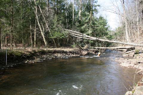 Field photo showing stream conditions at site SAVA-225-S-2012_Mid-point_P_Downstream