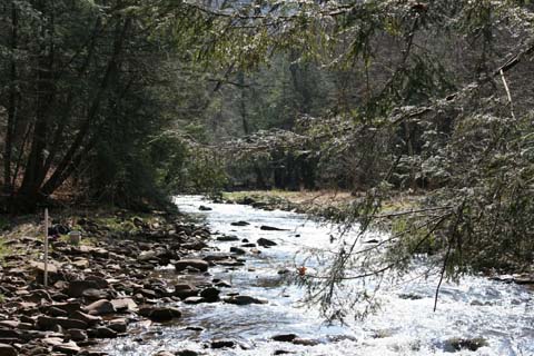 Field photo showing stream conditions at site SAVA-225-S-2012_Mid-point_P_Upstream