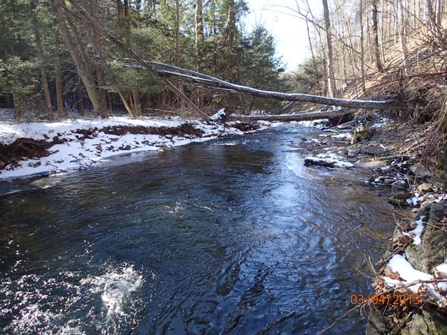 Field photo showing stream conditions at site SAVA-225-S-2013-MidpointPdownstream