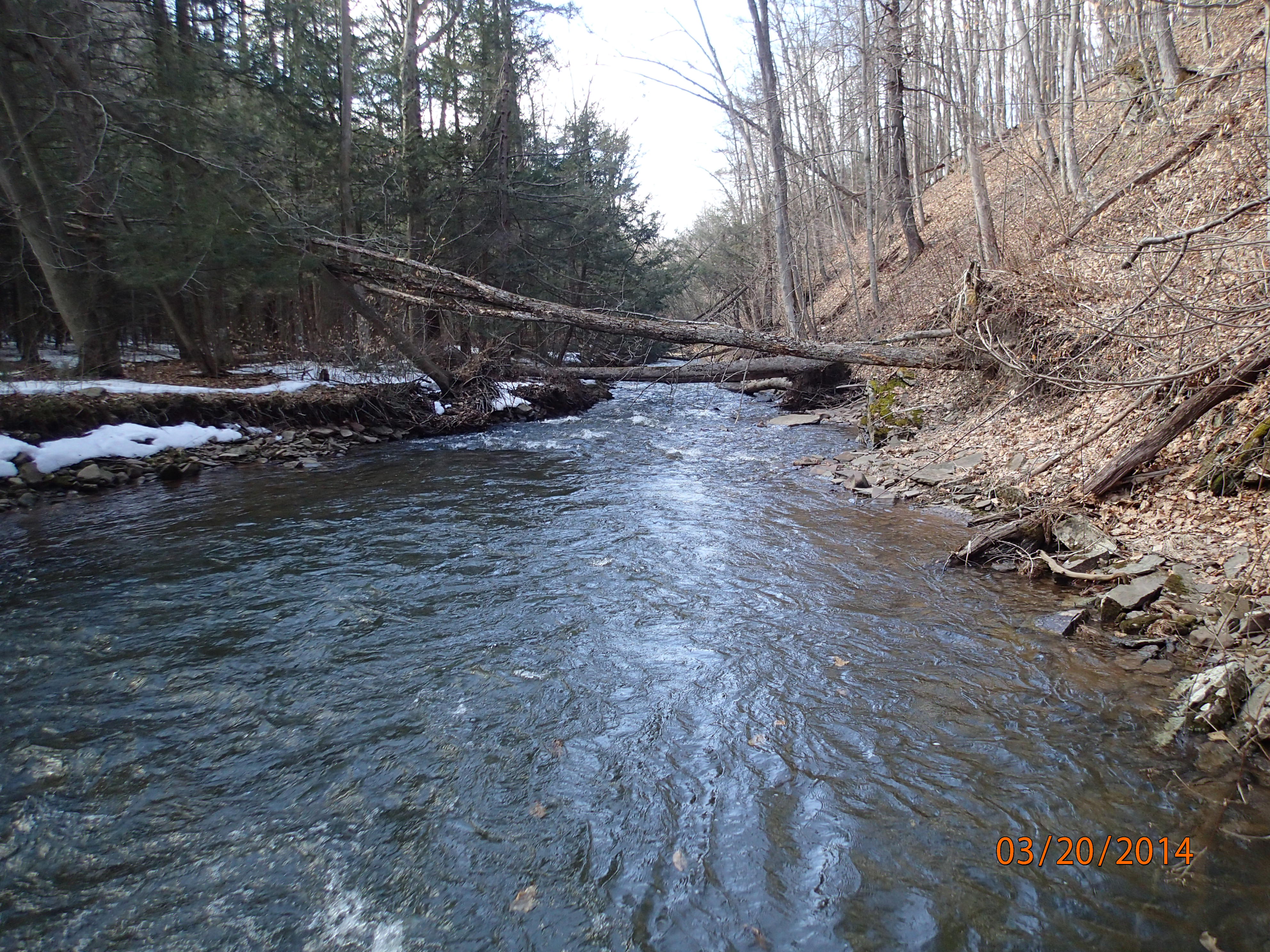 Field photo showing stream conditions at site SAVA-225-S-2014-MidpointDownstream
