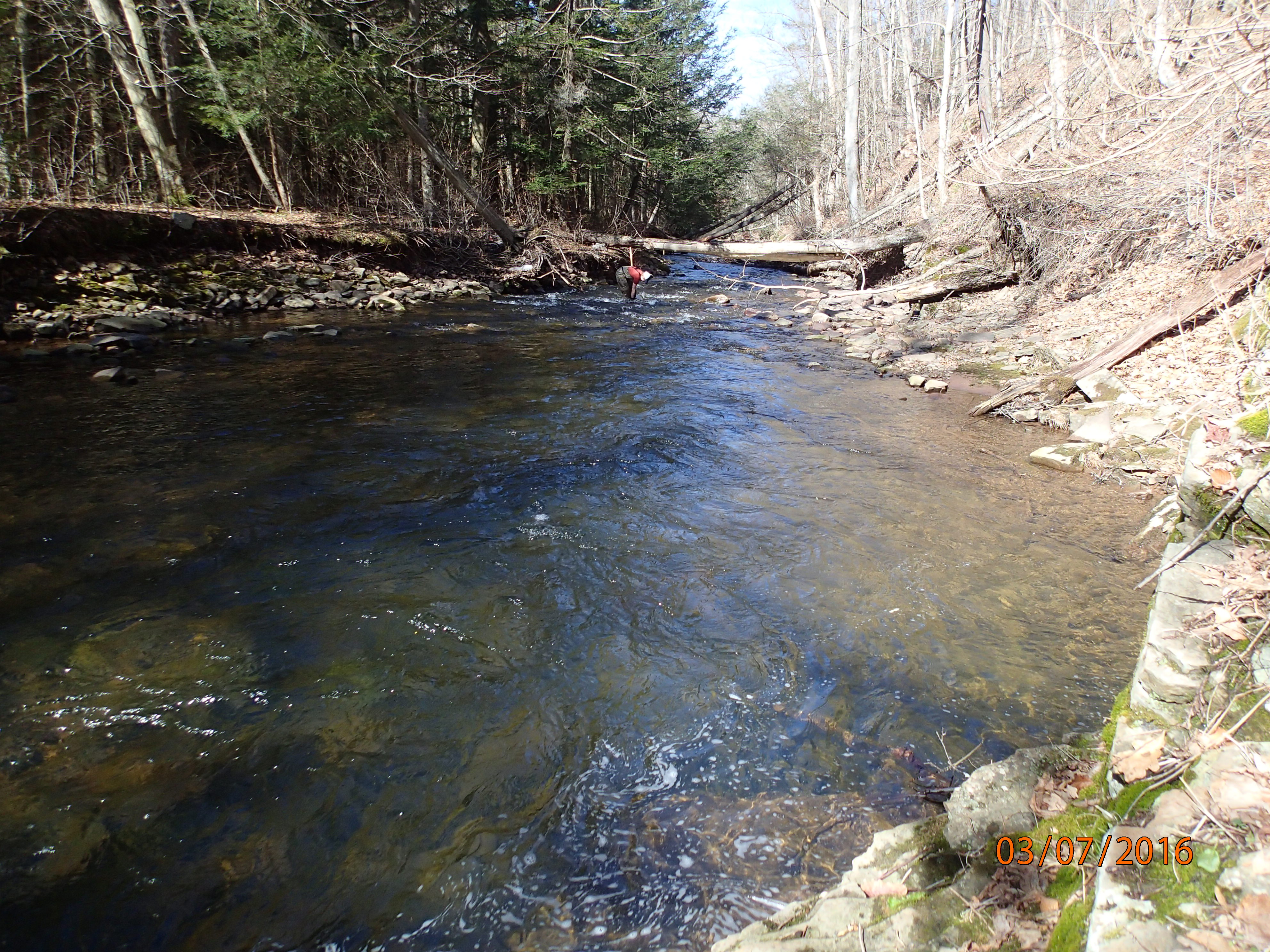 Field photo showing stream conditions at site SAVA-225-S-2016-MidpointDownstream