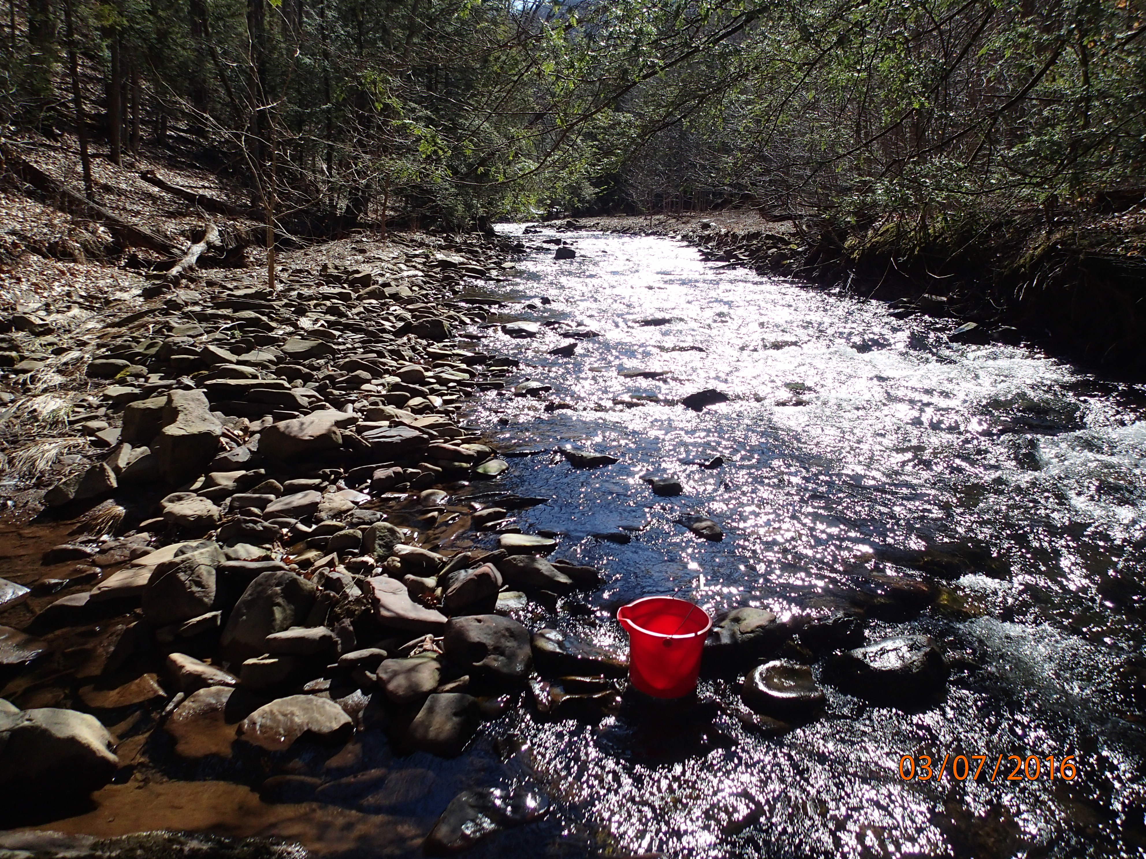 Field photo showing stream conditions at site SAVA-225-S-2016-MidpointUpstream