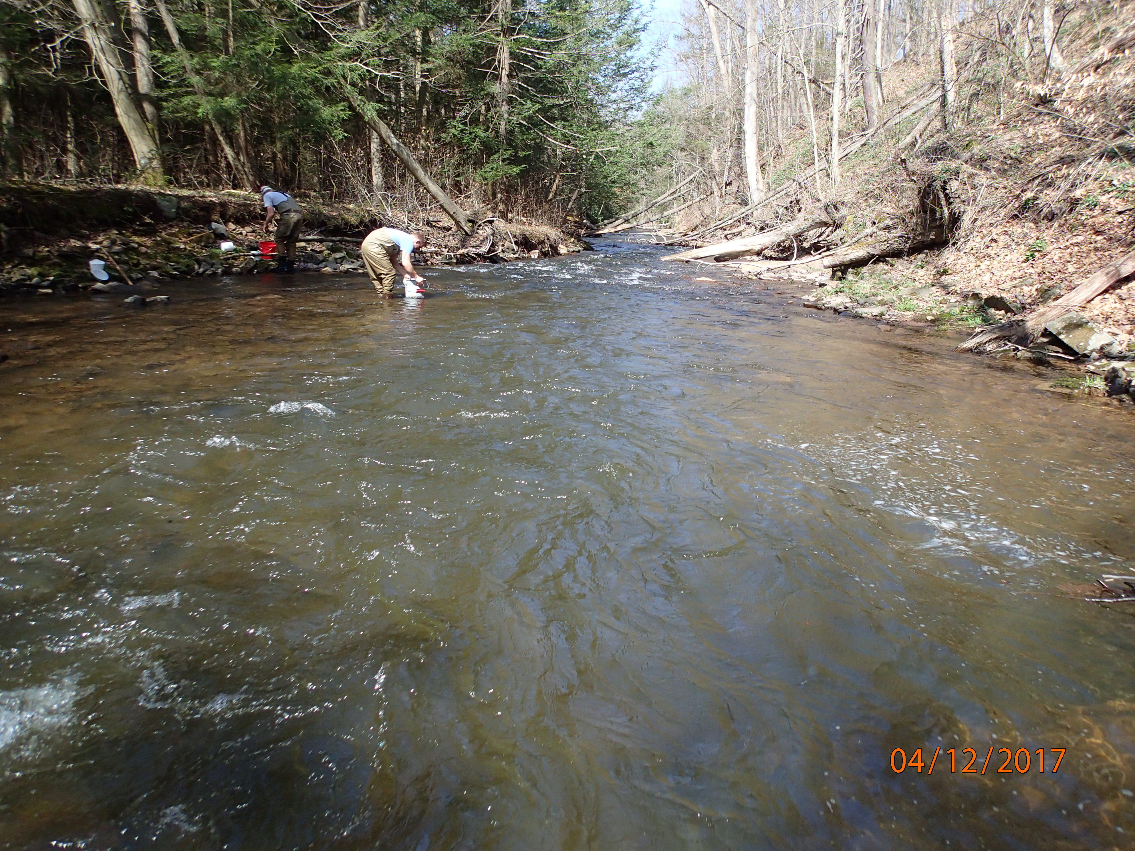 Field photo showing stream conditions at site SAVA-225-S-2017-MidpointDownstream