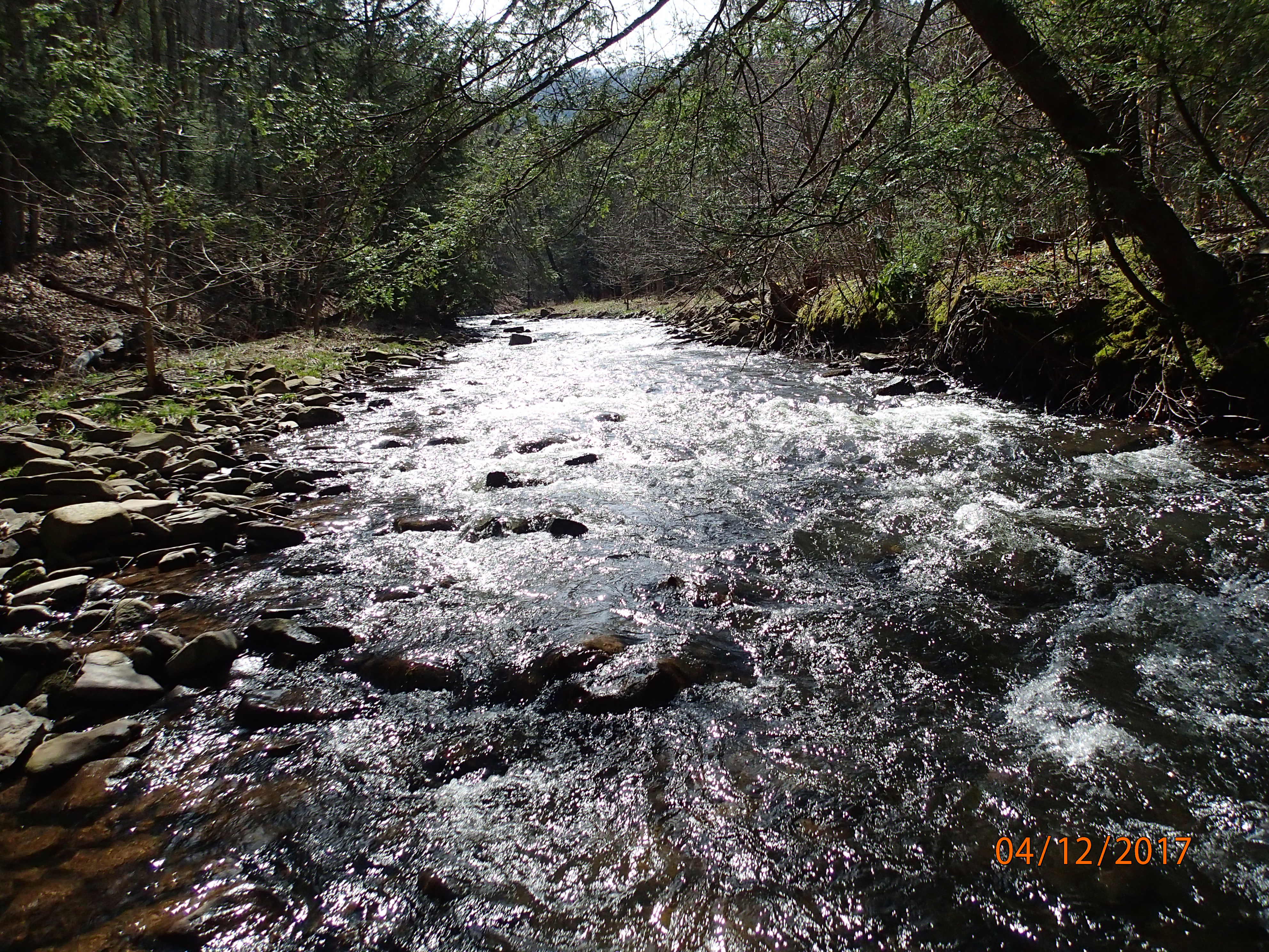 Field photo showing stream conditions at site SAVA-225-S-2017-MidpointUpstream