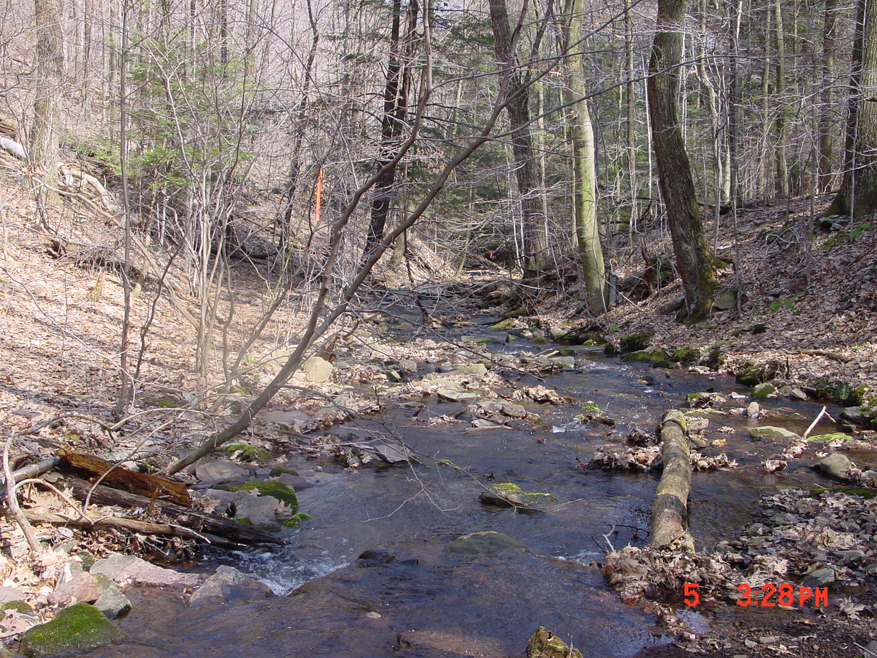 Field photo showing stream conditions at site SAVA-276-S-2001-1