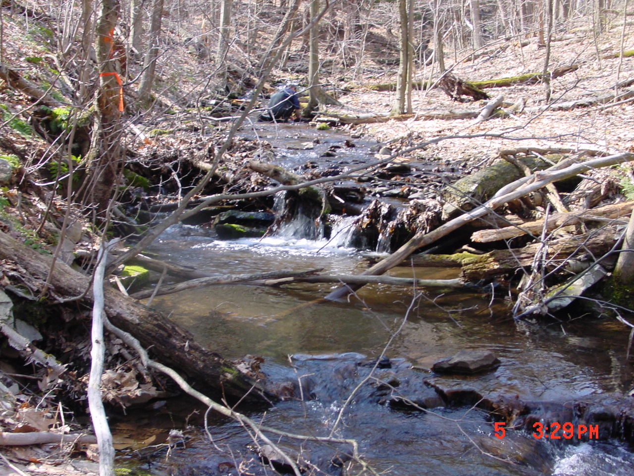 Field photo showing stream conditions at site SAVA-276-S-2001-2