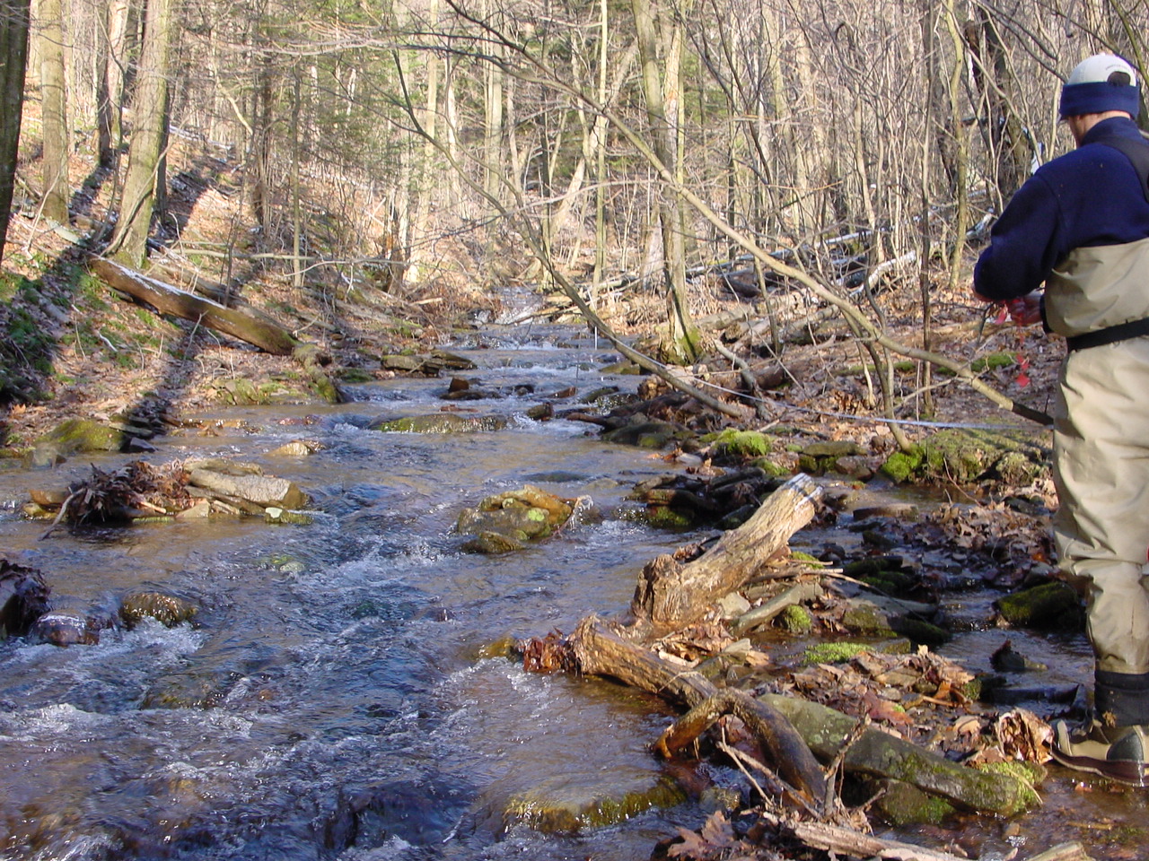 Field photo showing stream conditions at site SAVA-276-S-2002-1