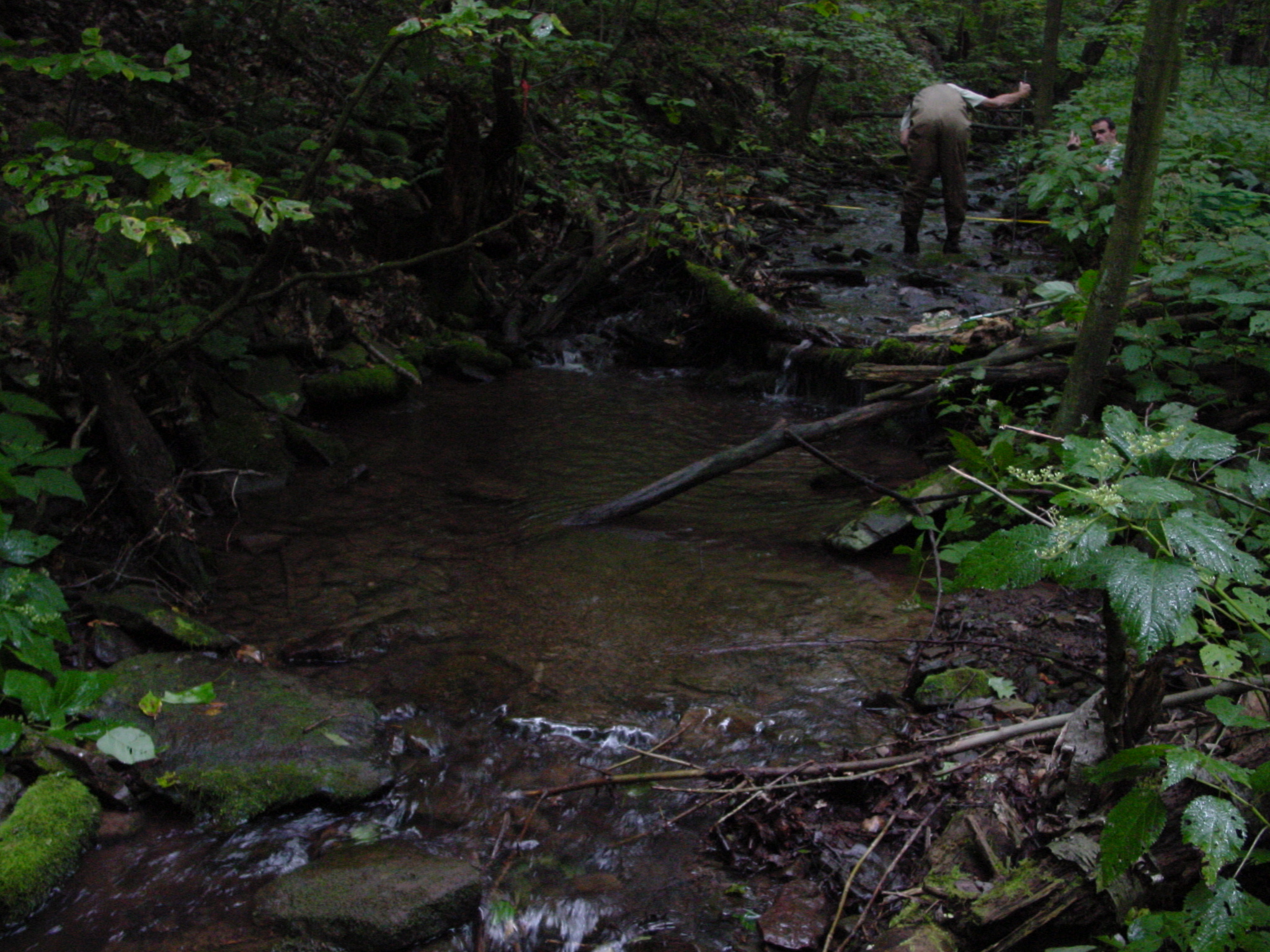 Field photo showing stream conditions at site SAVA-276-S-2003-4