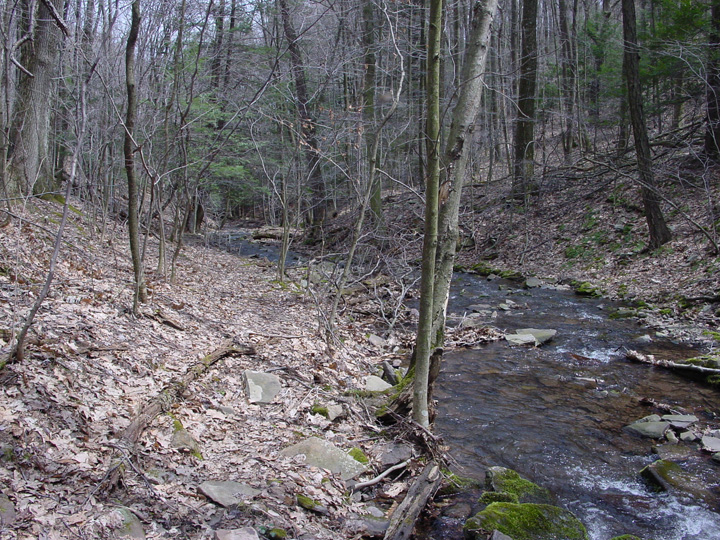 Field photo showing stream conditions at site SAVA-276-S-2007-1