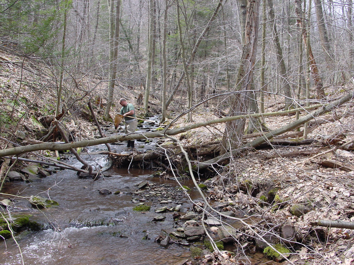 Field photo showing stream conditions at site SAVA-276-S-2007-2