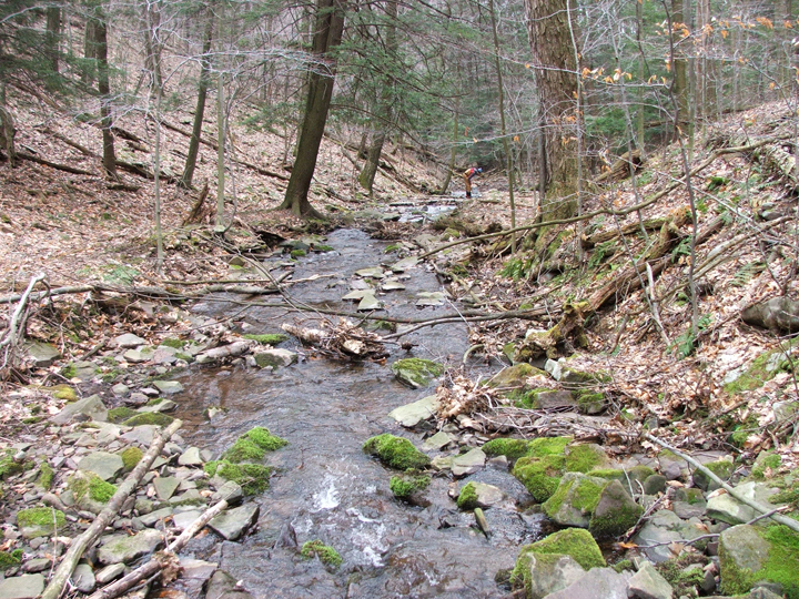 Field photo showing stream conditions at site SAVA-276-S-2008-2