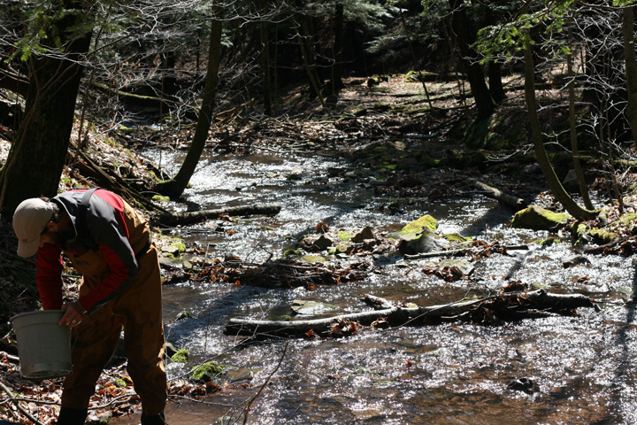 Field photo showing stream conditions at site SAVA-276-S-2009-1