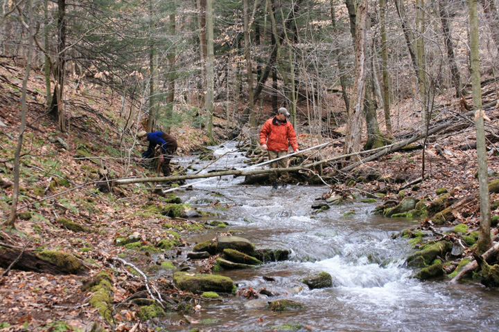 Field photo showing stream conditions at site SAVA-276-S-2011-1