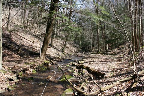 Field photo showing stream conditions at site SAVA-276-S-2012_Mid-point_P_Downstream