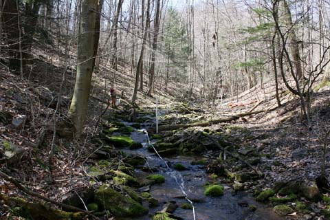 Field photo showing stream conditions at site SAVA-276-S-2012_Mid-point_P_Upstream