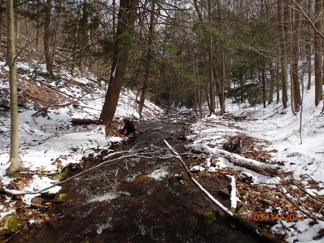 Field photo showing stream conditions at site SAVA-276-S-2013-MidpointPdownstream