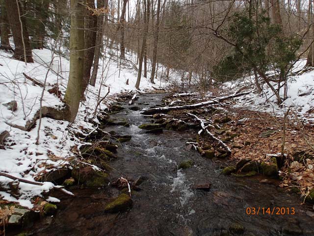 Field photo showing stream conditions at site SAVA-276-S-2013-MidpointPupstream