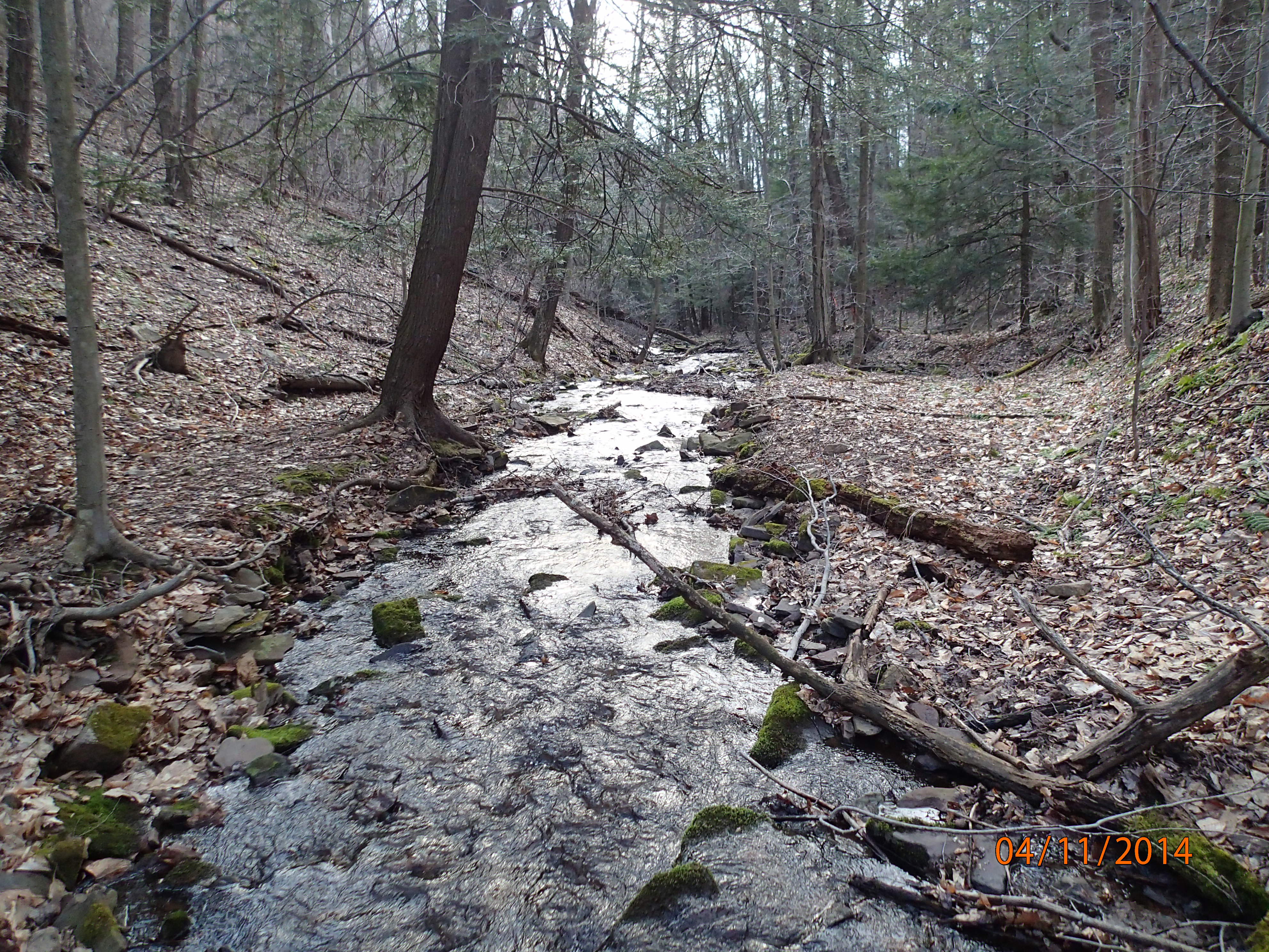 Field photo showing stream conditions at site SAVA-276-S-2014-MidpointDownstream