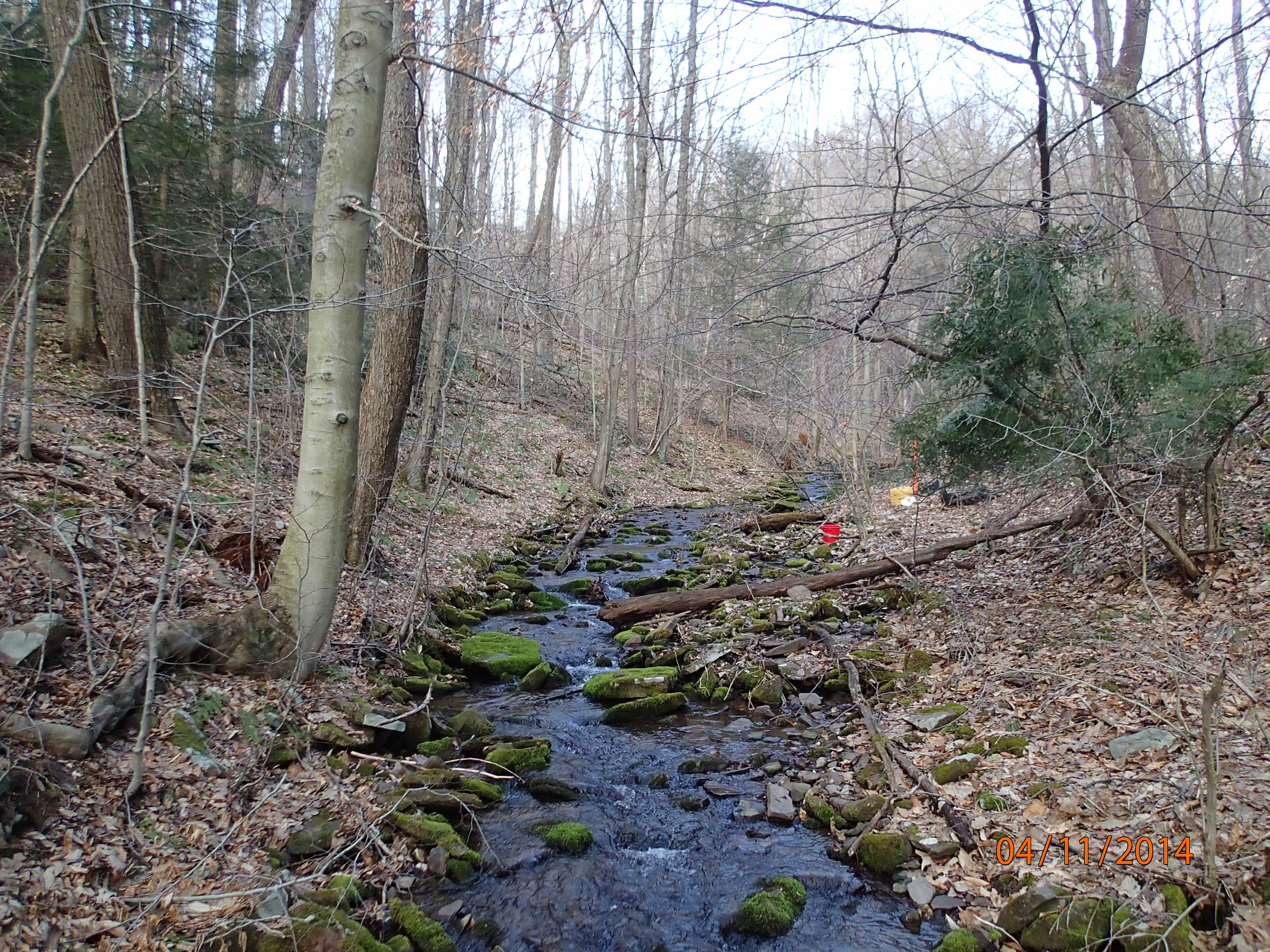 Field photo showing stream conditions at site SAVA-276-S-2014-MidpointUpstream