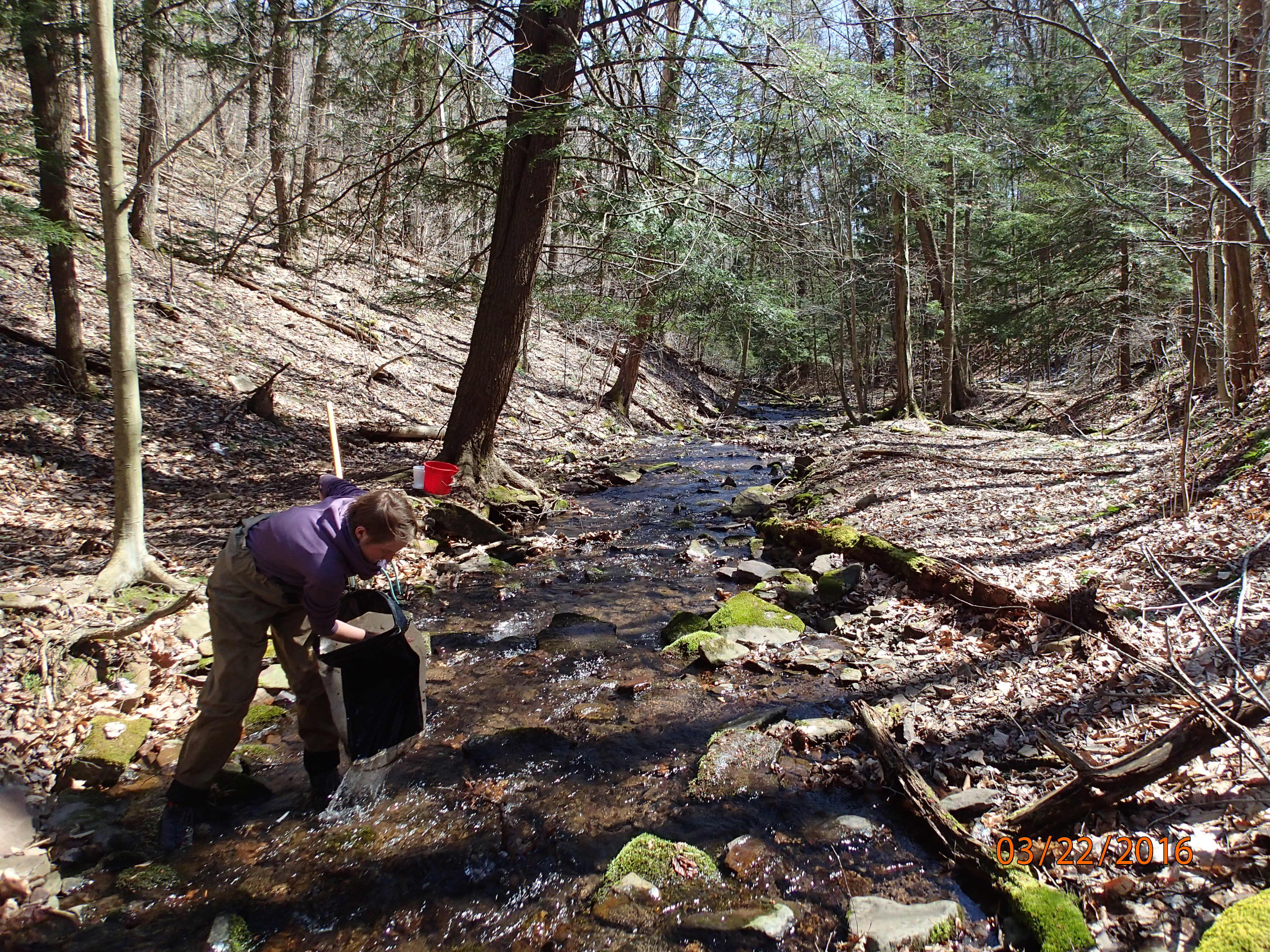 Field photo showing stream conditions at site SAVA-276-S-2016-MidpointPDownstream