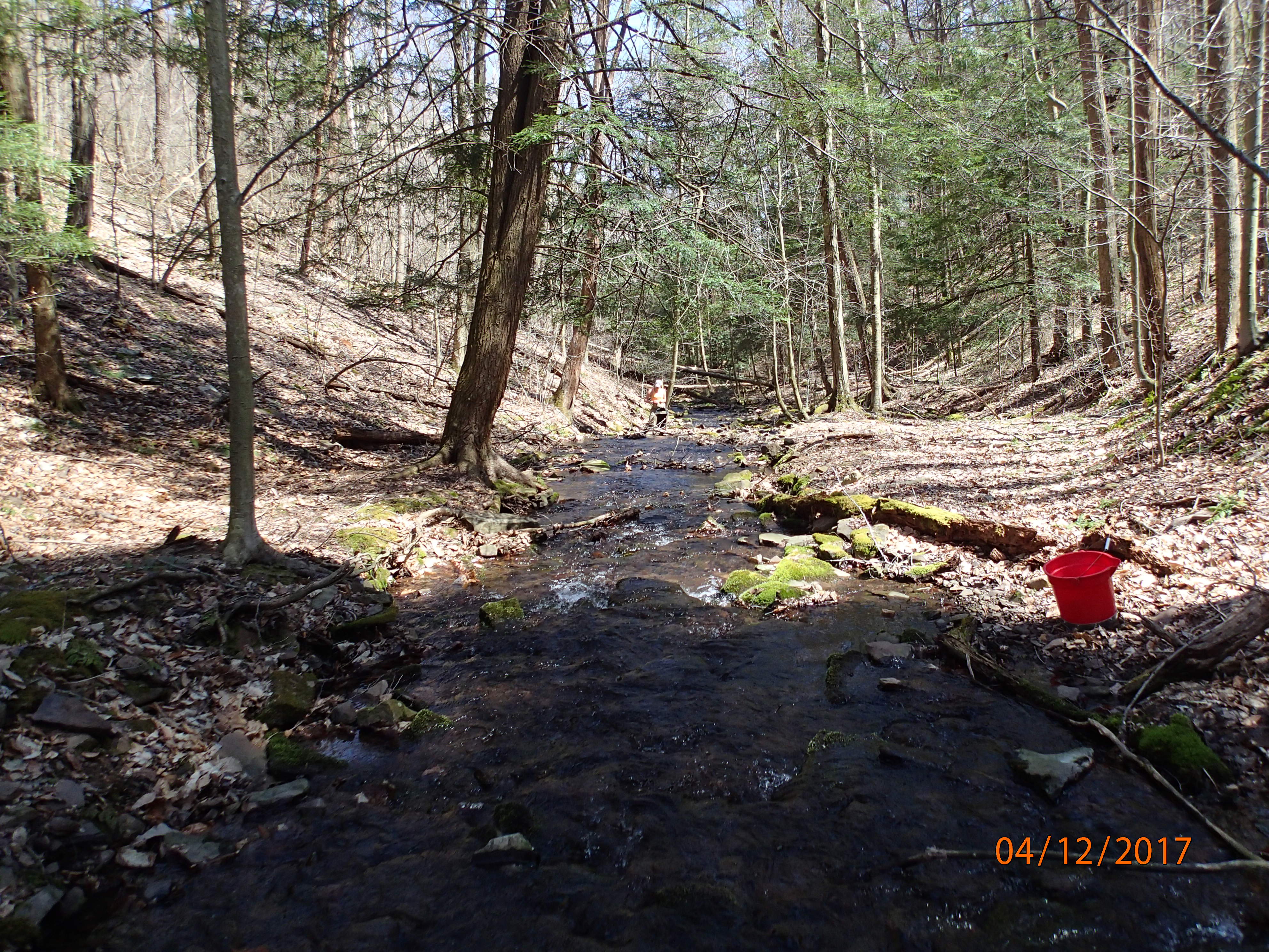 Field photo showing stream conditions at site SAVA-276-S-2017-MidpointPDownstream